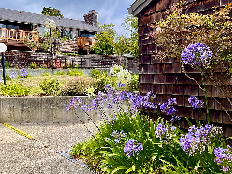 Capitola Terrace Apartments — Photo 4