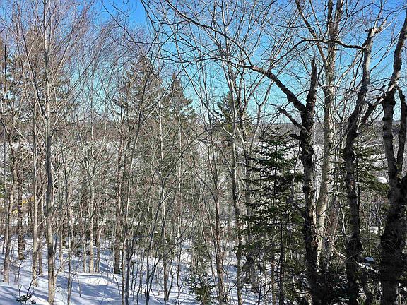 4th image of Mood Rd Lot 1