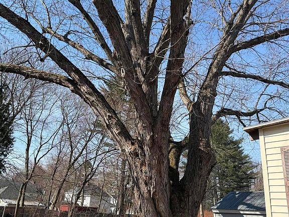 4th image of 12 Edgemont Avenue