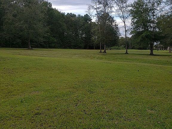 5th image of 11310 Cole Dr