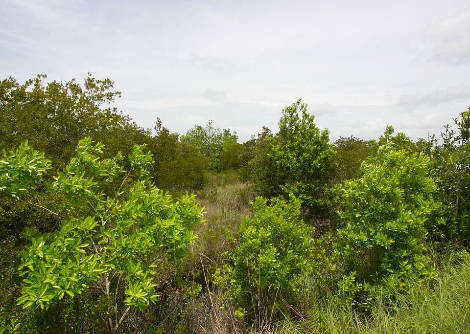 2nd image of Padgett Trl