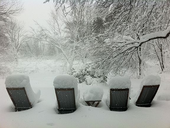 Snowy day in the backyard