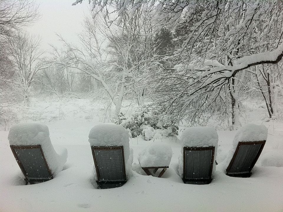 Snowy day in the backyard