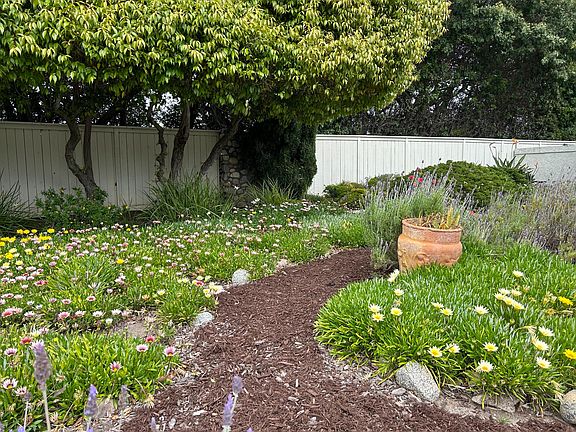Walking path in front yard garden