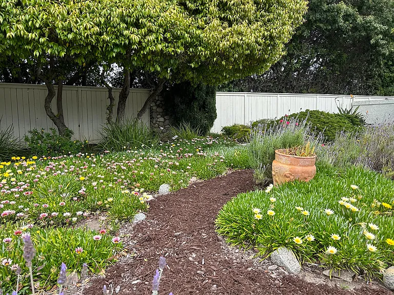 Walking path in front yard garden
