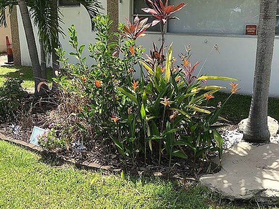 Garden Landscaping