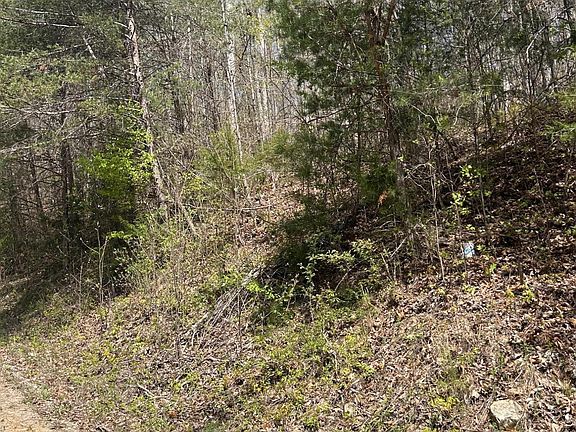 4th image of LOT 3 Jones Ridge Rd
