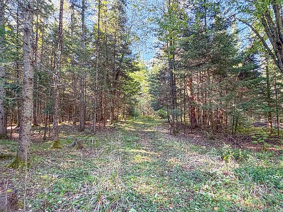 5th image of N13361 HICKS LANDING RD
