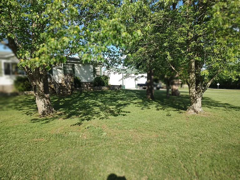 65 Sycamore Ln #3 — Photo 3