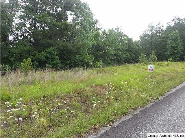 2nd image of S Shades Crest Rd #1