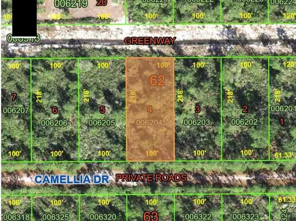 CAMELLIA DRIVE LOT 4, INDIAN LAKE ESTATES, FL 33855