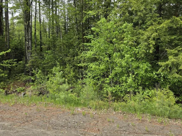 Lot 81-1 Lower Detroit Road, Plymouth, ME 04969