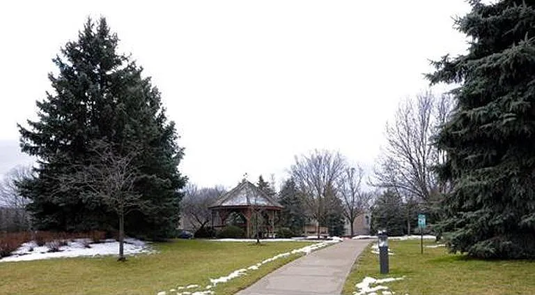42684 Lilley Pointe Dr — Photo 17