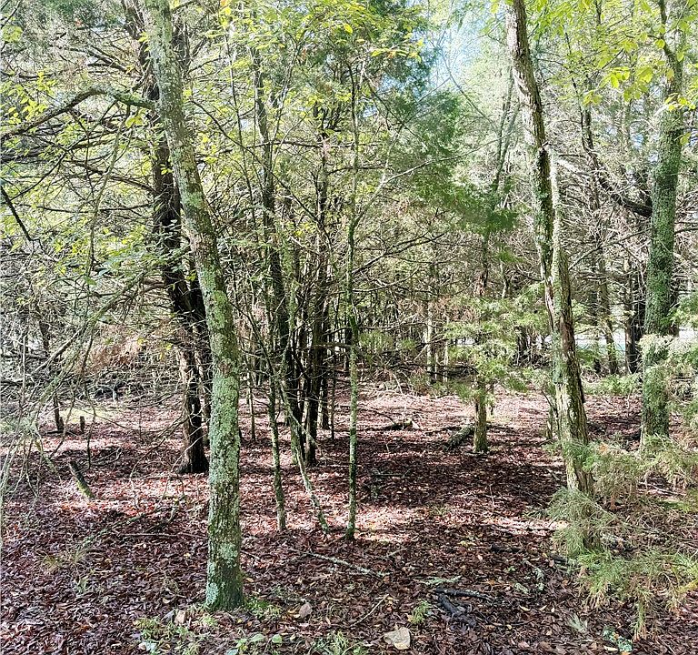 1st image of LOT 60 Lodge Dr