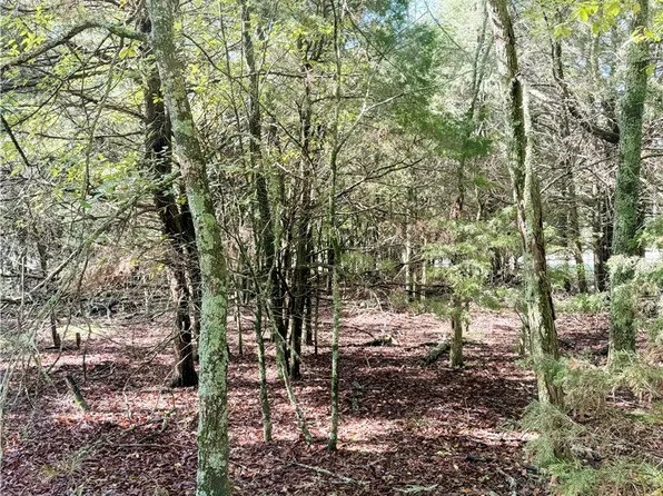 LOT 60 Lodge Dr, Garfield, AR 72732