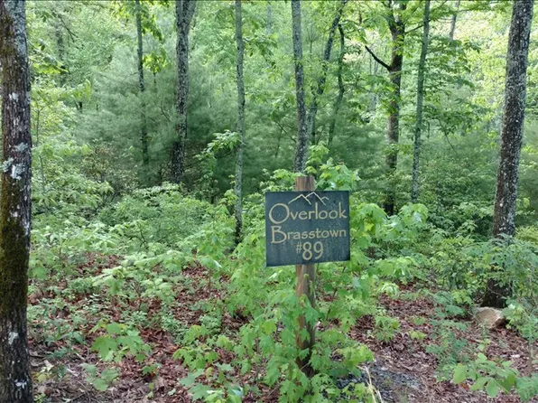 LOT 89 Brasstown Vw, Brasstown, NC 28902