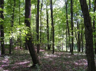 0 Tabor Rd, Schenevus, NY 12155