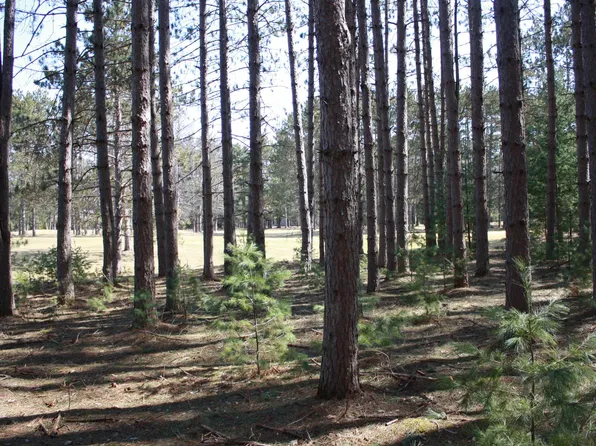 Pine Rd, Minocqua, WI 54548