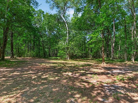 5th image of 23191 County Road 121