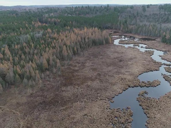 40 Acres Off County Rd, Cco Road Ishpeming, MI 49849