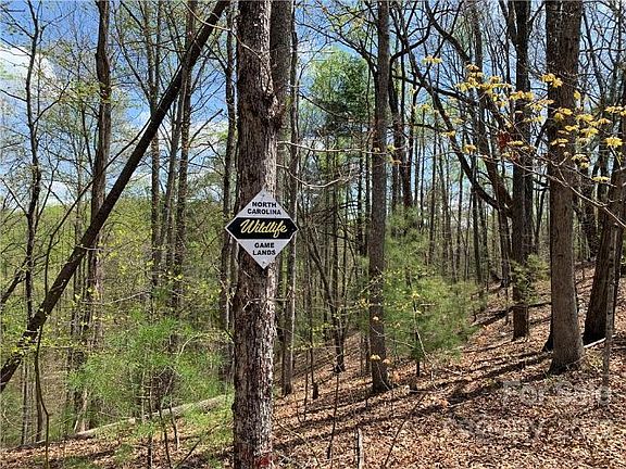 4th image of 125 Mount Airy Rd