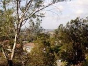 3317 Descanso Ave, San Marcos, CA, 92078