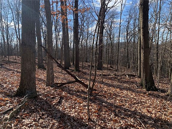 2nd image of 0 Bakerstown Rd