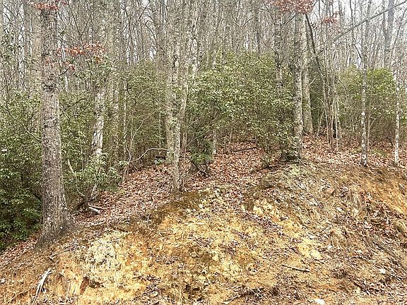 3rd image of 0 Sawyer Dr