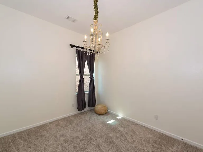 1008 Lone Ivory Trl — Photo 13