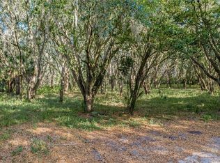 2232 Thompson Rd, Lithia, FL 33547