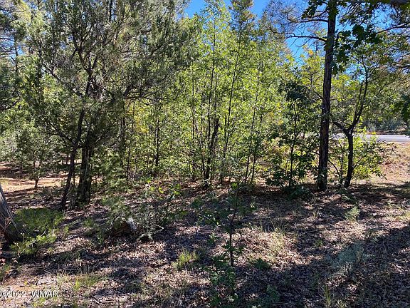5th image of 2040 High Sierra Ct