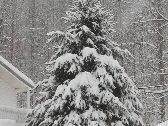 86th image of this home