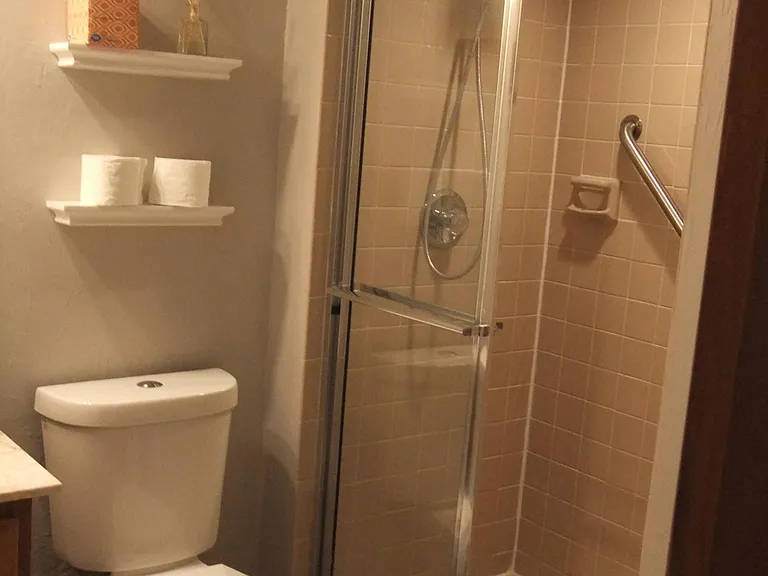 Master shower.