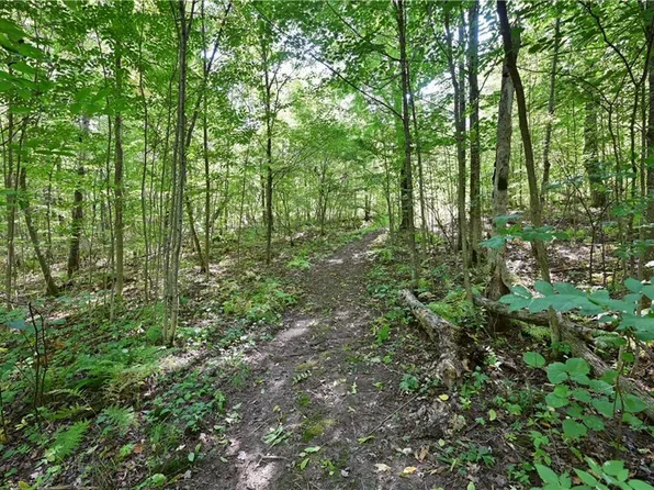 Lots 1 & 2 13 1/4 St, Rice Lake, WI 54868