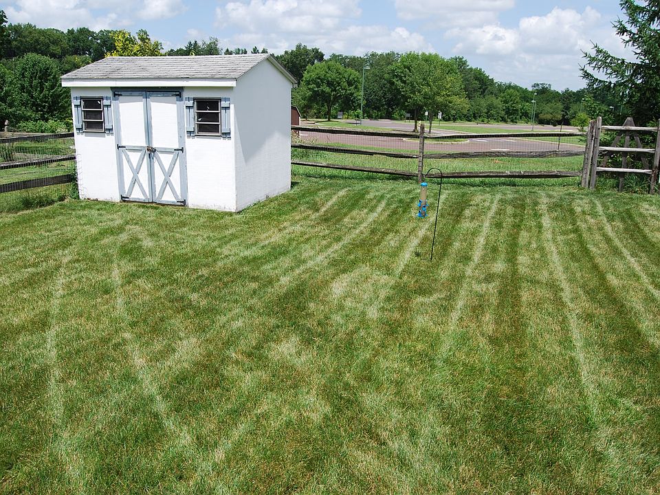 Backyard with shed
