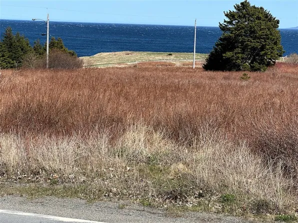 389 Conception Bay Highway, Blackhead, NL A0A1L0