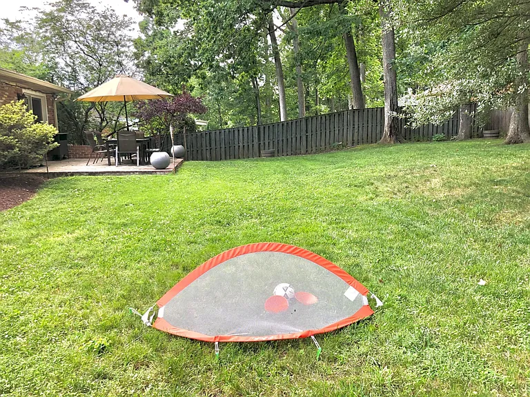 Backyard