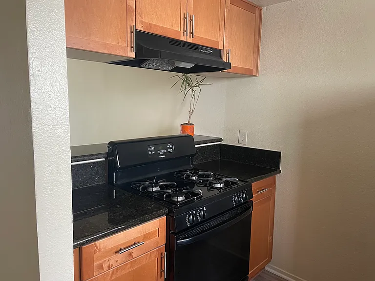 Gas Stove