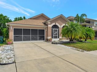31319 Glendalough Way, Wesley Chapel, FL 33545