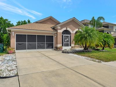 31319 Glendalough Way, Wesley Chapel, FL, 33545