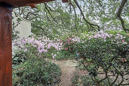 Beautiful landscaping