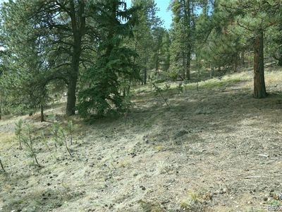 188 Brown Street, Bailey, CO, 80421