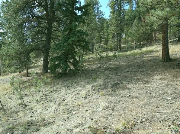 188 Brown Street, Bailey, CO 80421