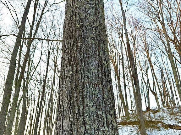 4th image of 0 Carrs Run Rd