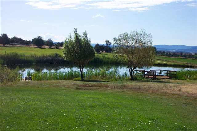 pond