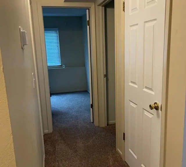 5555 Bowden Loop #D — Photo 12