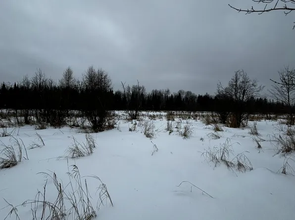 0 Brimley Bay Mls, Brimley, MI 49715
