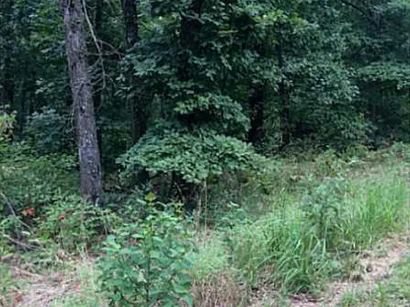 Chatburn Dr, Bella Vista, AR 72715