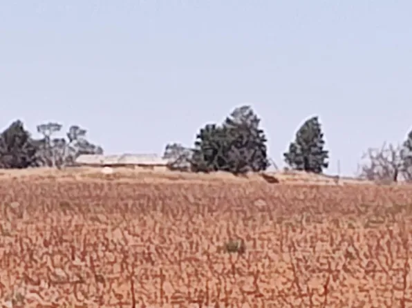 0 County Road 345, Meadow, TX 79345