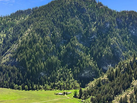 5th image of 4345 Wilcox Rd